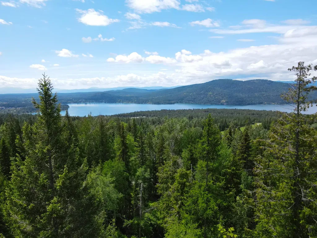 265 N Shooting Star Circle Whitefish MT 59937