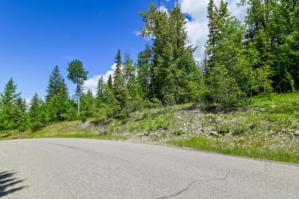 265 N Shooting Star Circle Whitefish MT 59937
