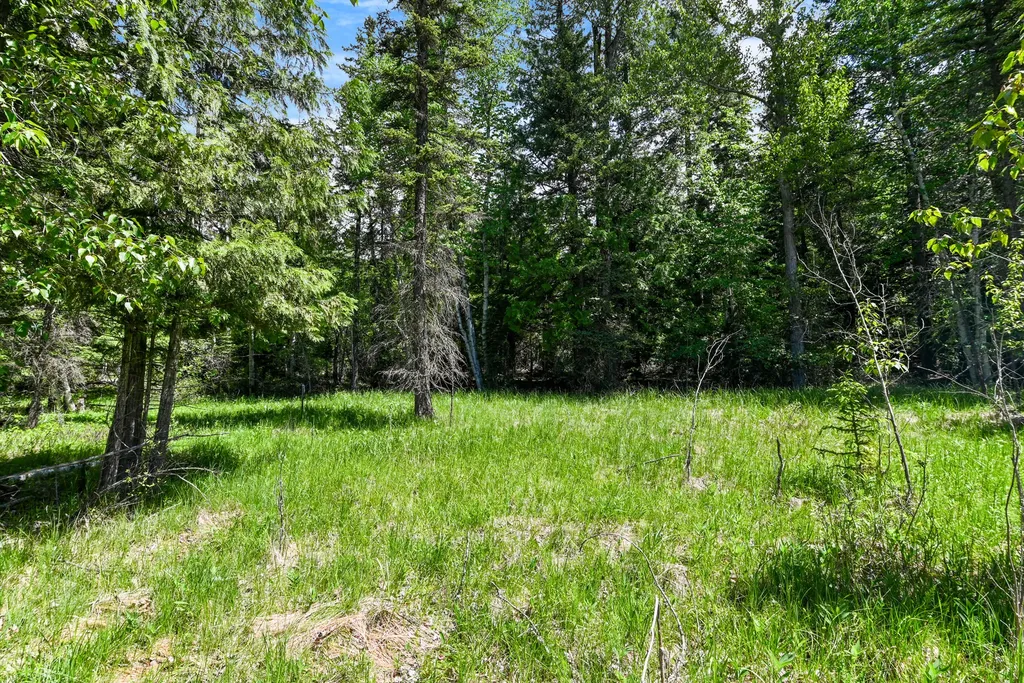 265 N Shooting Star Circle Whitefish MT 59937