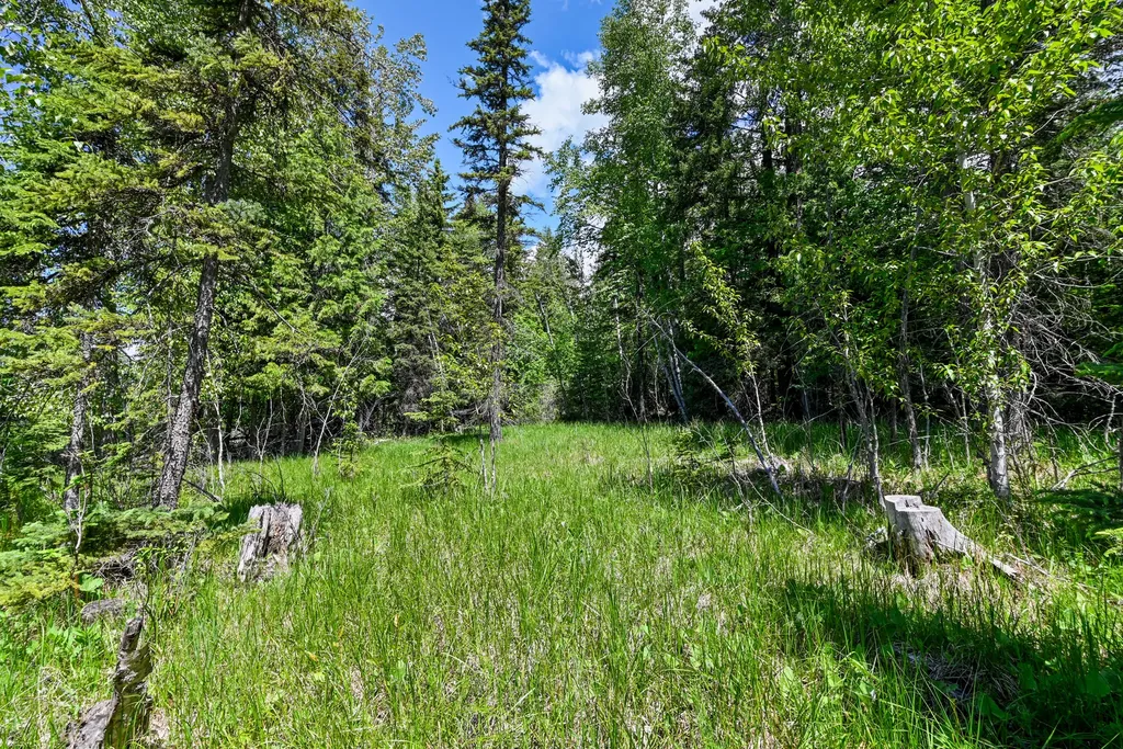 265 N Shooting Star Circle Whitefish MT 59937