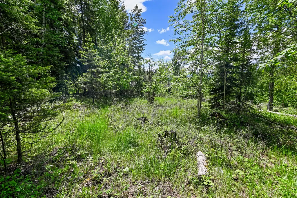 265 N Shooting Star Circle Whitefish MT 59937