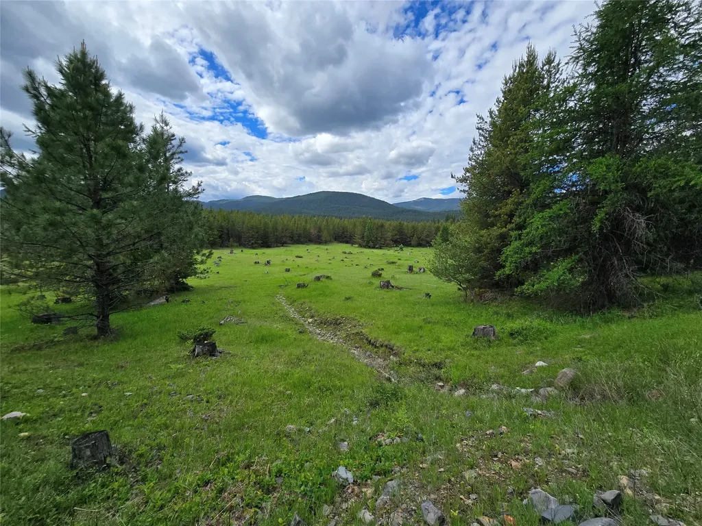 Tbd Yaak River Road Troy MT 59935
