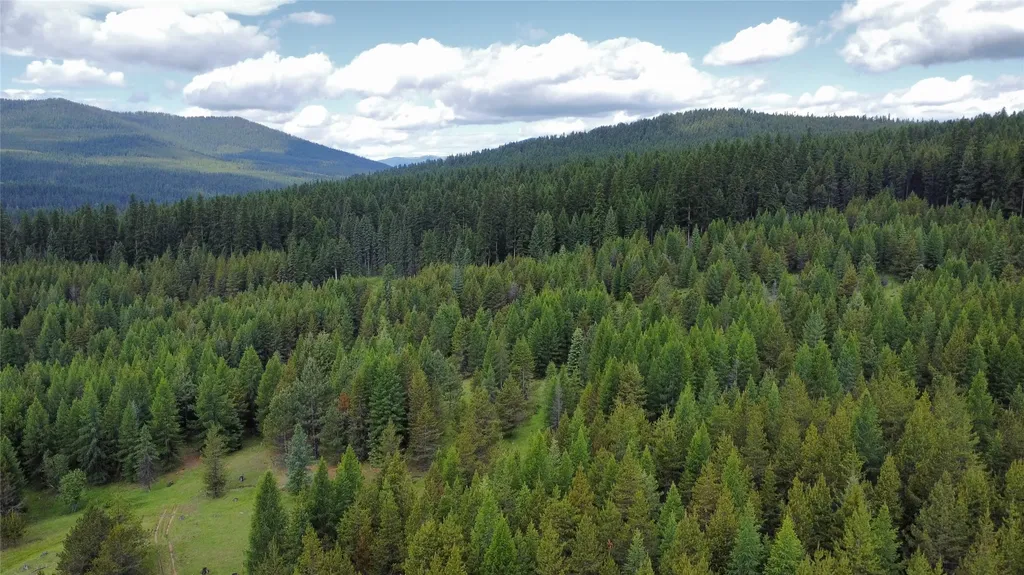 Tbd Yaak River Road Troy MT 59935