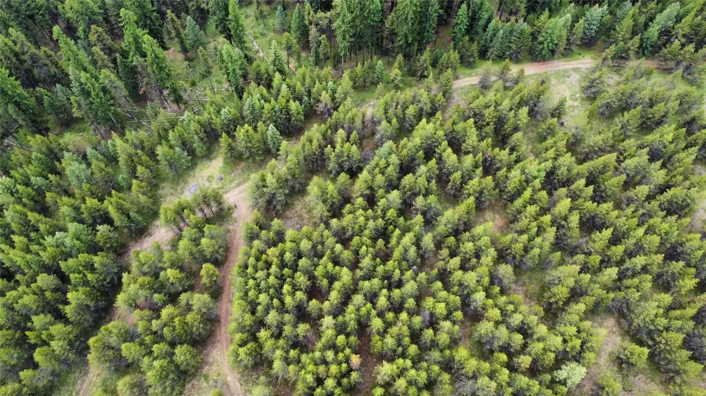 Tbd Yaak River Road Troy MT 59935