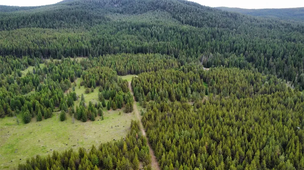 Tbd Yaak River Road Troy MT 59935