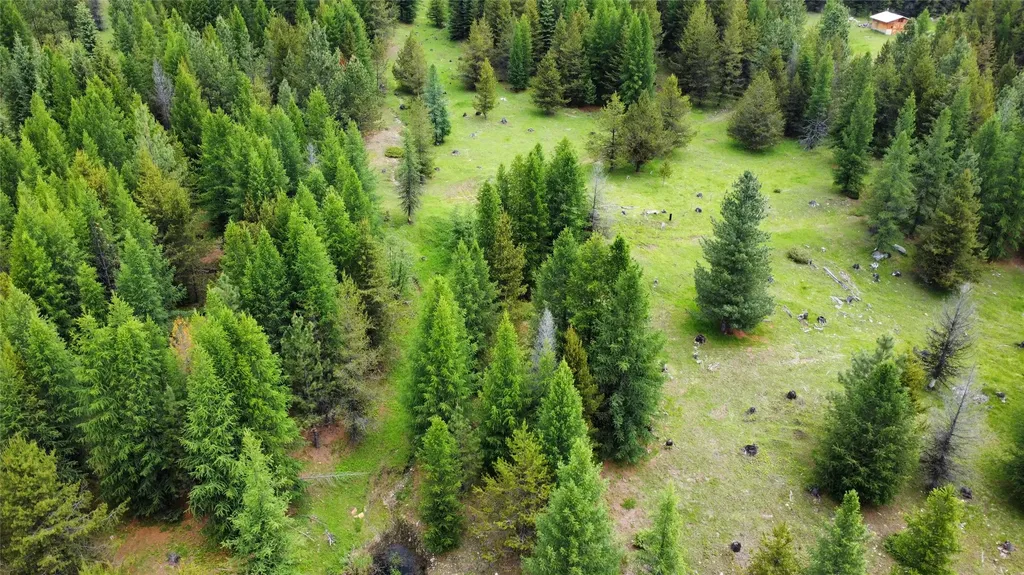 Tbd Yaak River Road Troy MT 59935