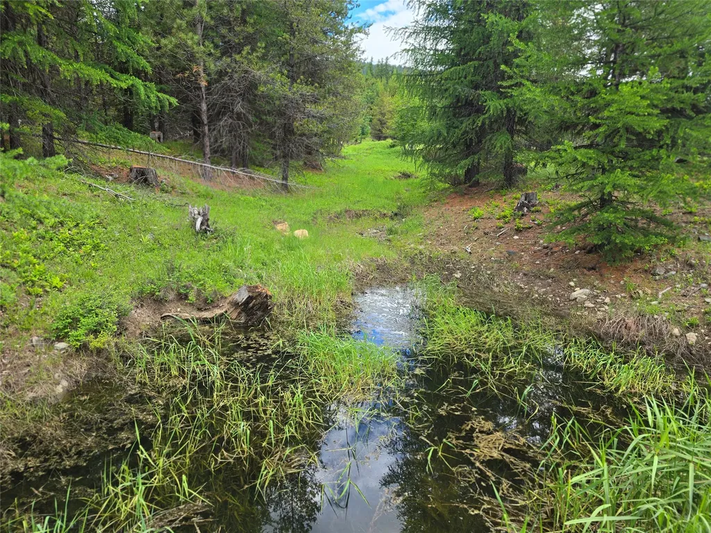 Tbd Yaak River Road Troy MT 59935