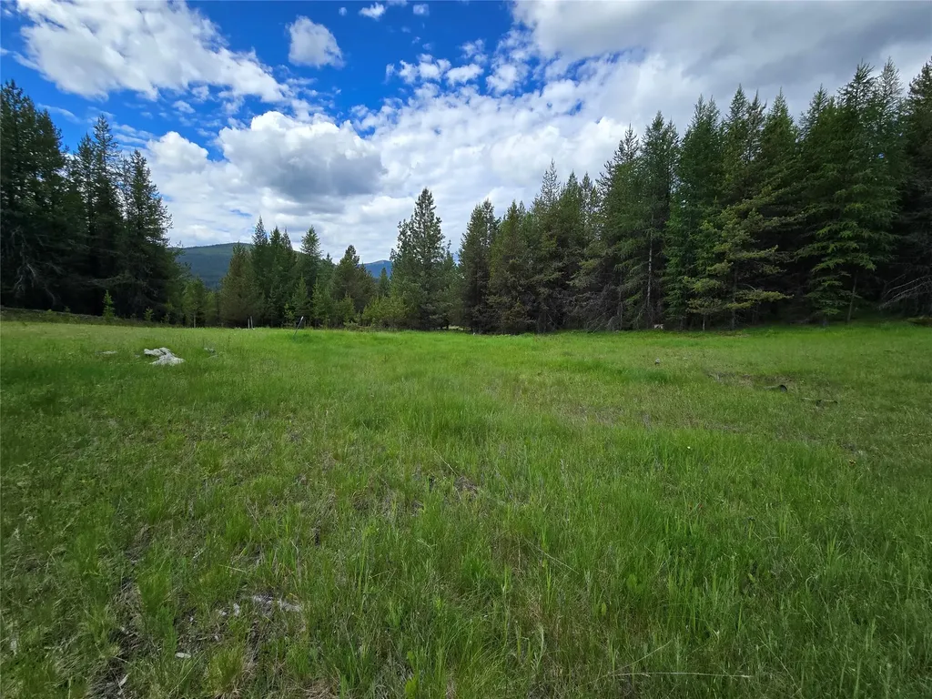 Tbd Yaak River Road Troy MT 59935