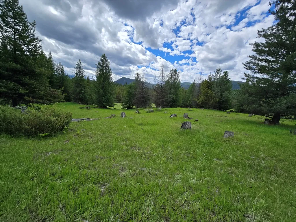 Tbd Yaak River Road Troy MT 59935