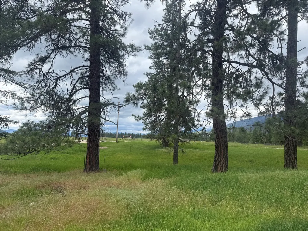 Nhn South Hill Road Trout Creek MT 59874