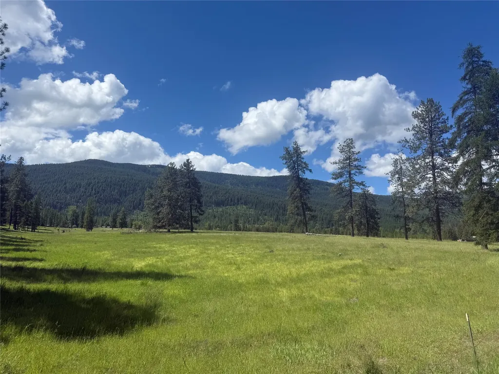 Nhn South Hill Road Trout Creek MT 59874
