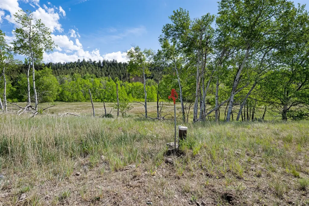 642 Deer Haven Drive Deer Lodge MT 59722