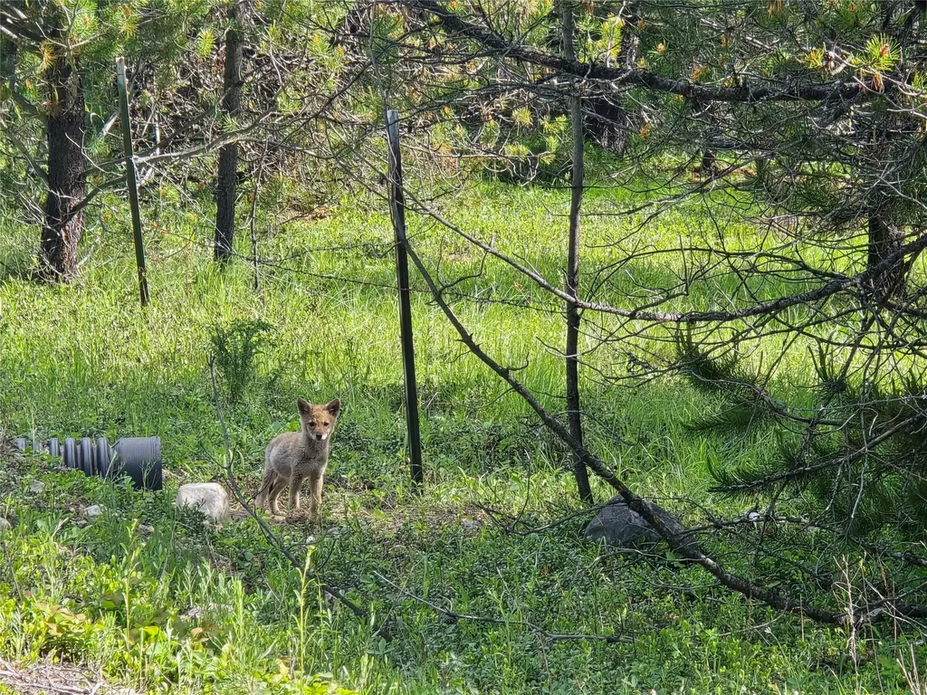 28341 Yaak River Road Troy MT 59935