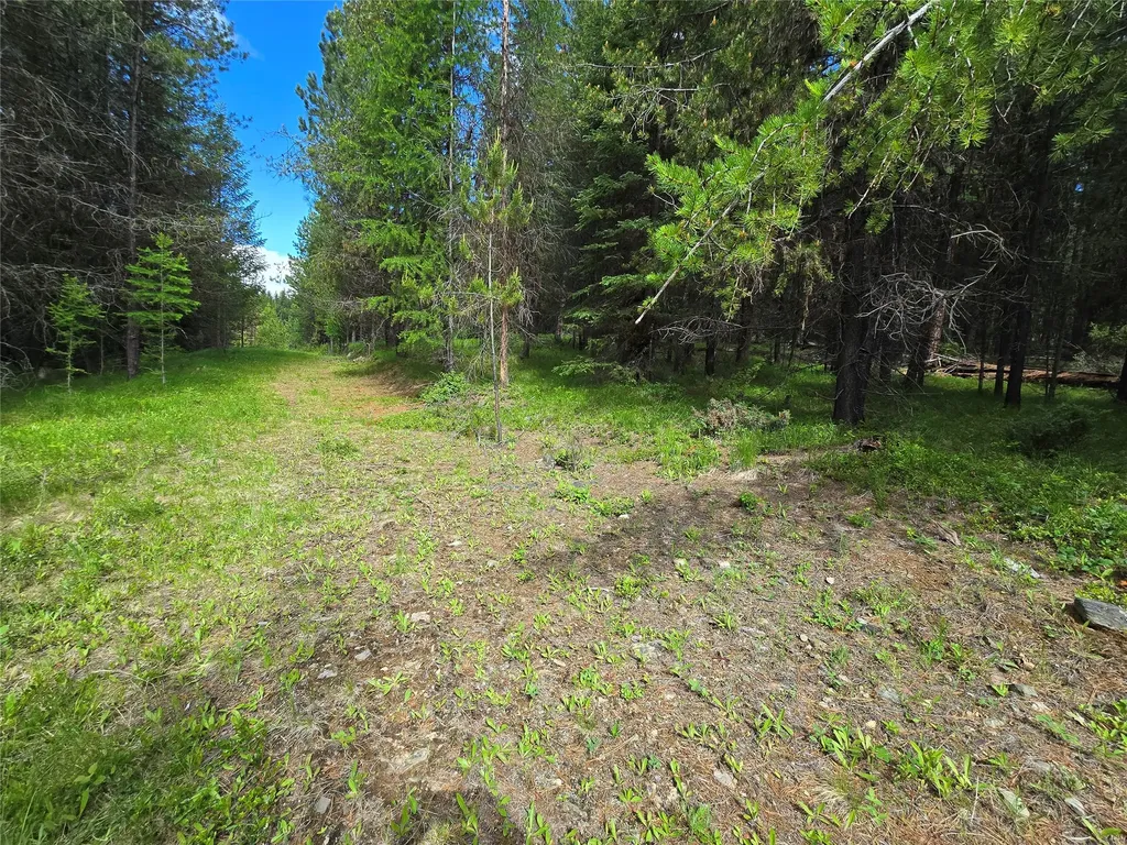 28341 Yaak River Road Troy MT 59935