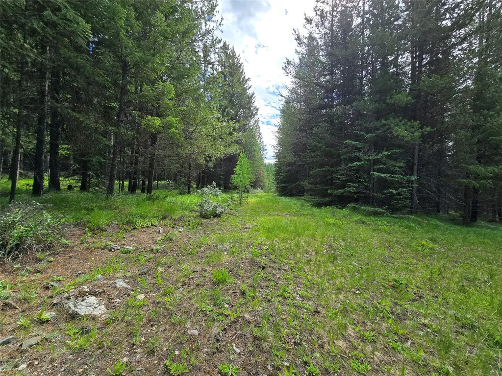 28341 Yaak River Road Troy MT 59935