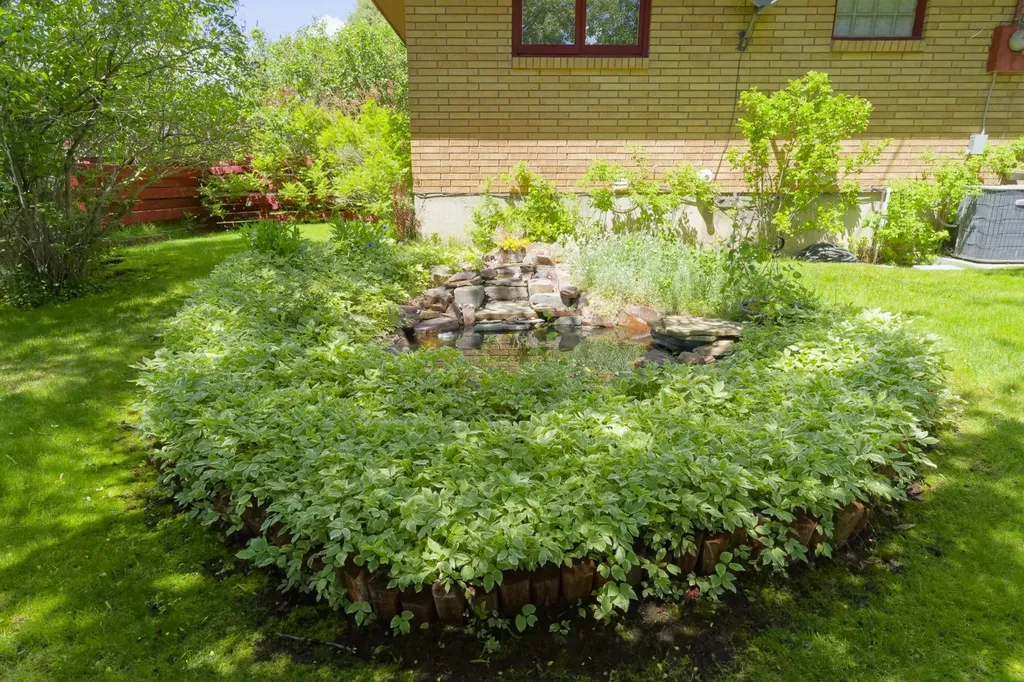 3440 St Ann Street Butte MT 59701