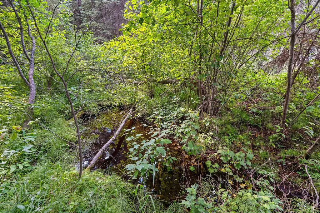 14000 North Fork Road Polebridge MT 59928