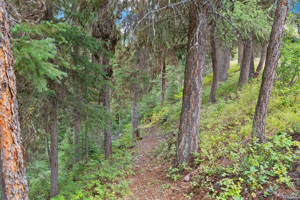 14000 North Fork Road Polebridge MT 59928