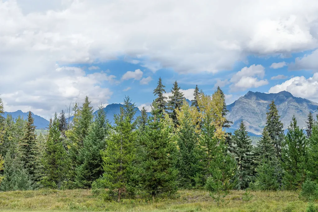 14000 North Fork Road Polebridge MT 59928
