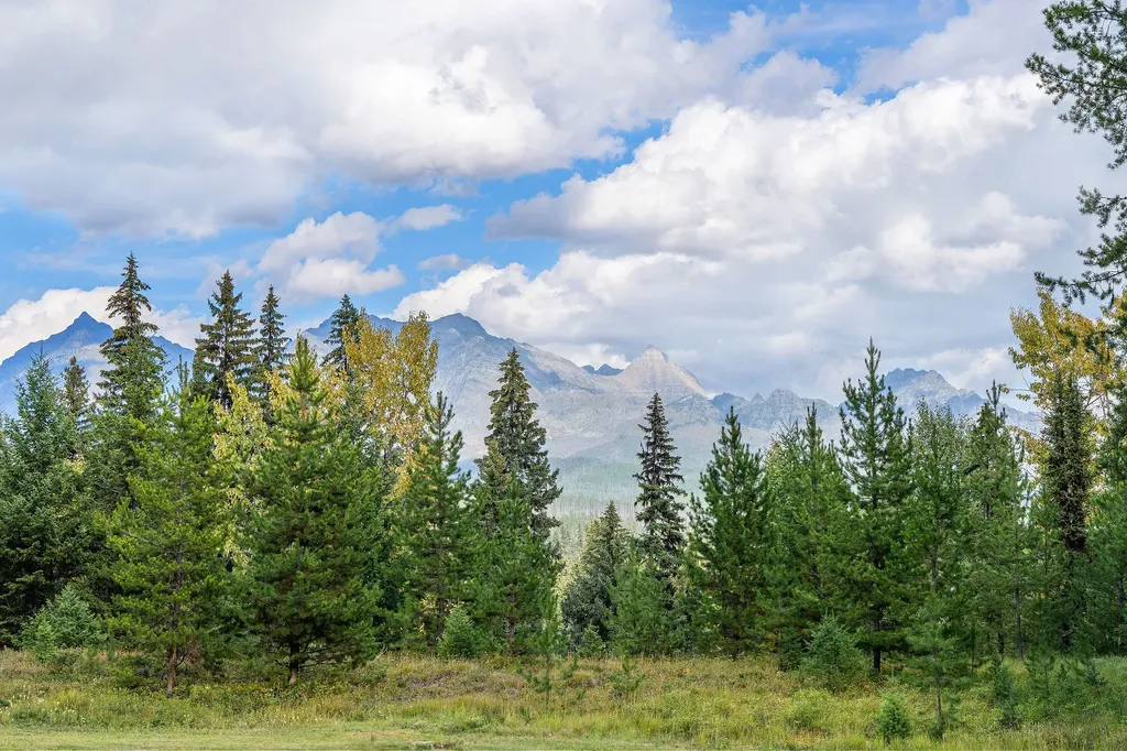 14000 North Fork Road Polebridge MT 59928