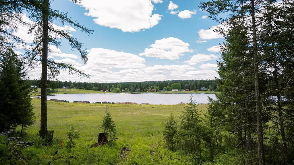 56 Wagon Wheel Road Whitefish MT 59937