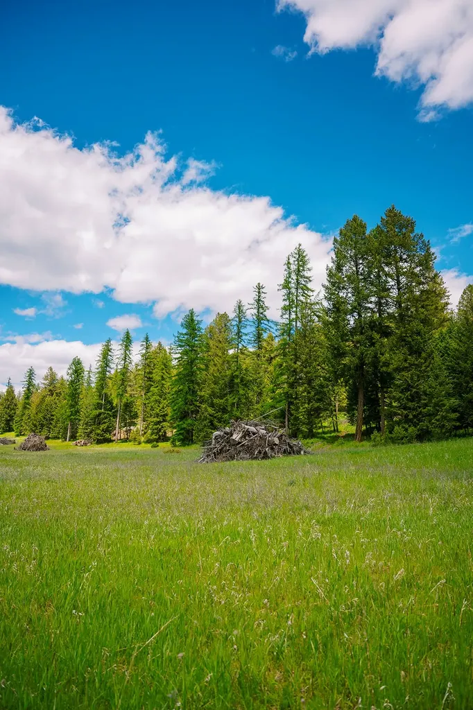 56 Wagon Wheel Road Whitefish MT 59937