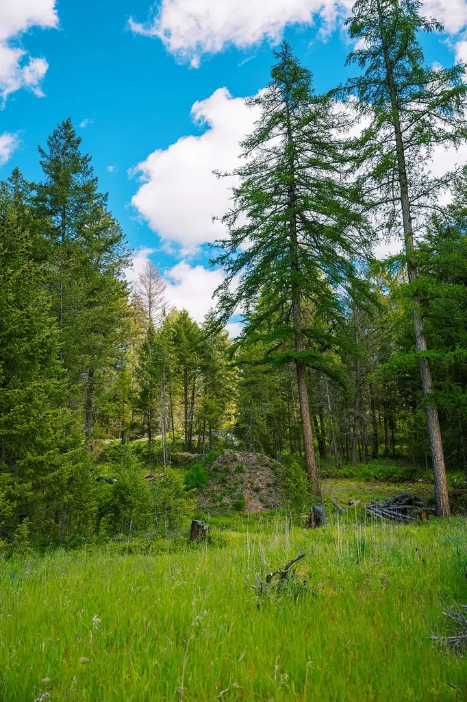 56 Wagon Wheel Road Whitefish MT 59937