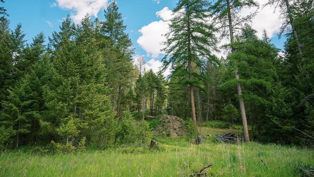 56 Wagon Wheel Road Whitefish MT 59937
