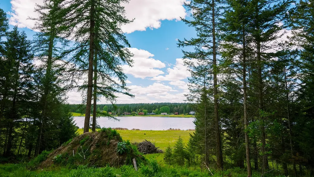 56 Wagon Wheel Road Whitefish MT 59937