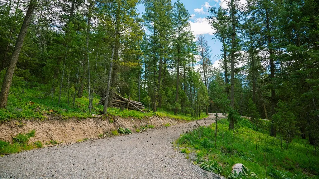 56 Wagon Wheel Road Whitefish MT 59937