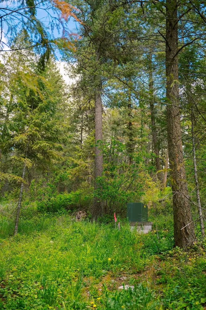 56 Wagon Wheel Road Whitefish MT 59937