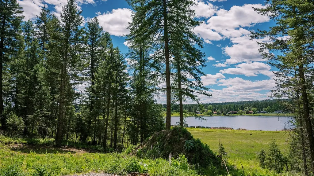 56 Wagon Wheel Road Whitefish MT 59937