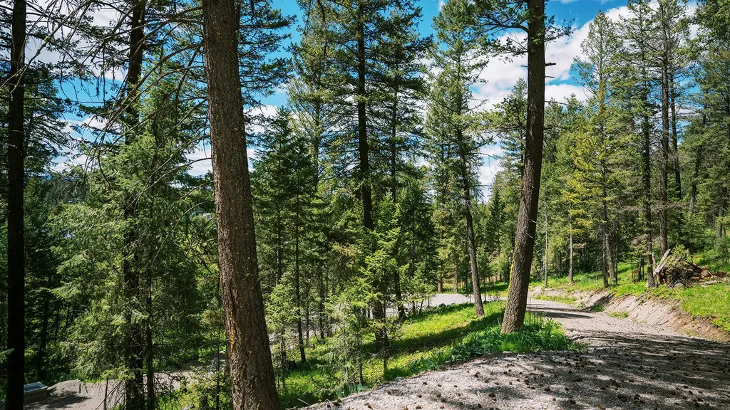 56 Wagon Wheel Road Whitefish MT 59937
