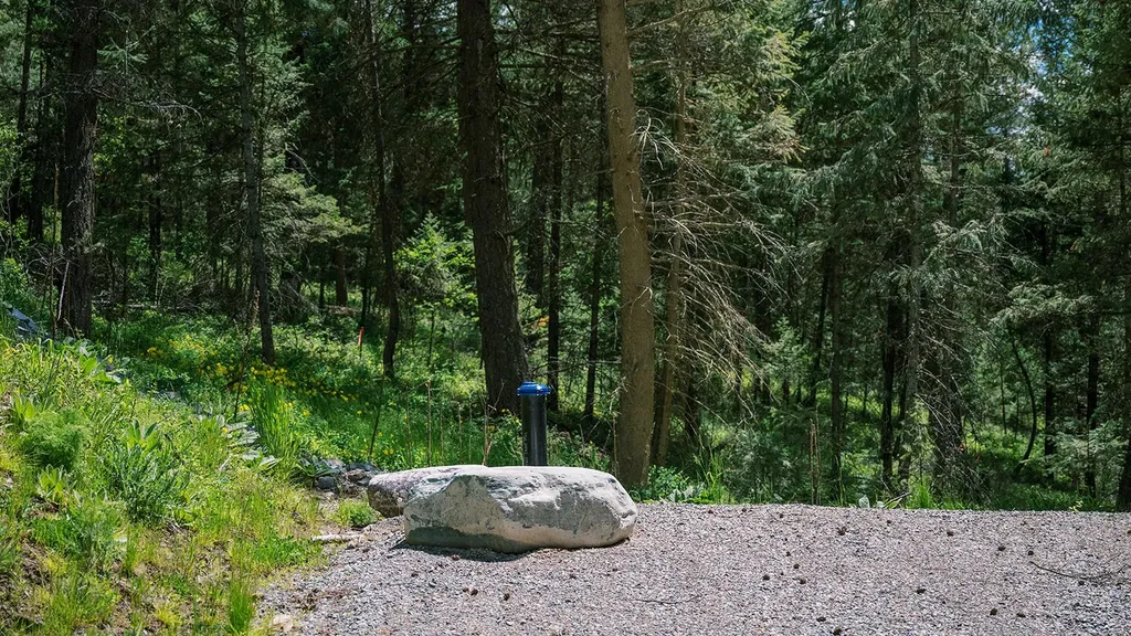 56 Wagon Wheel Road Whitefish MT 59937