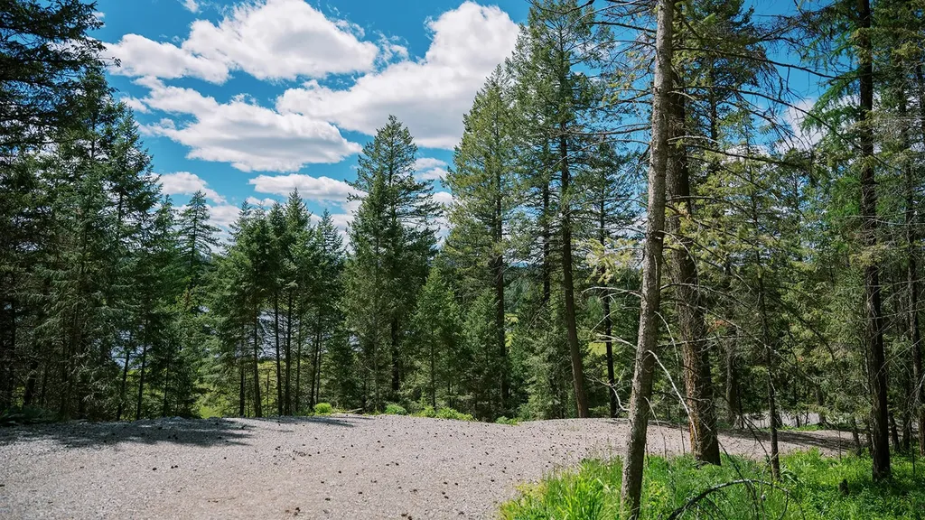 56 Wagon Wheel Road Whitefish MT 59937