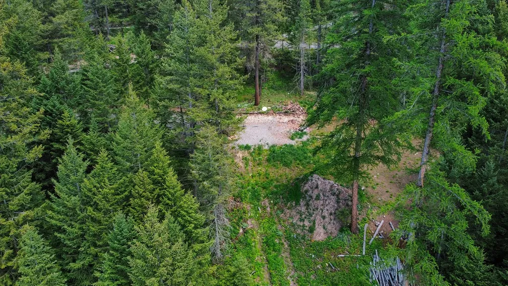 56 Wagon Wheel Road Whitefish MT 59937