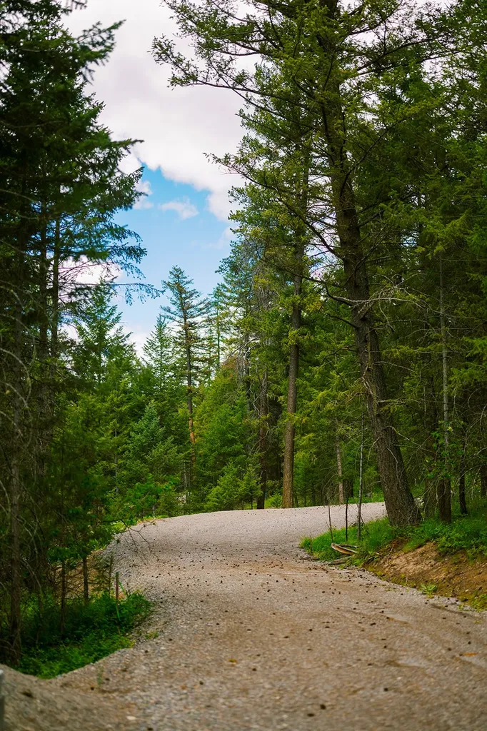 56 Wagon Wheel Road Whitefish MT 59937