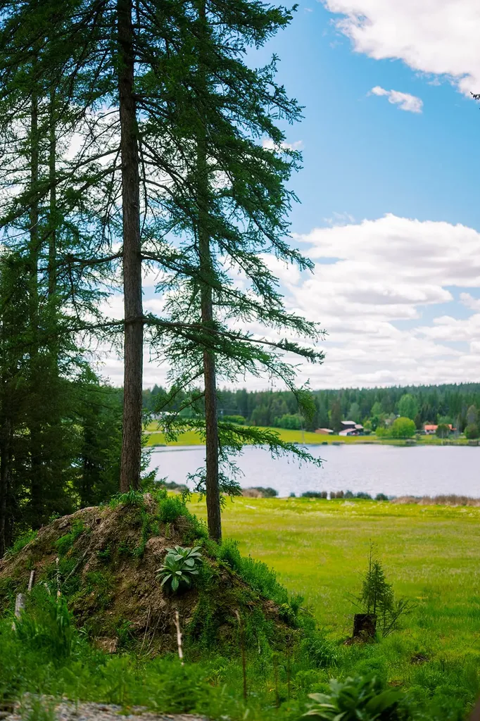 56 Wagon Wheel Road Whitefish MT 59937