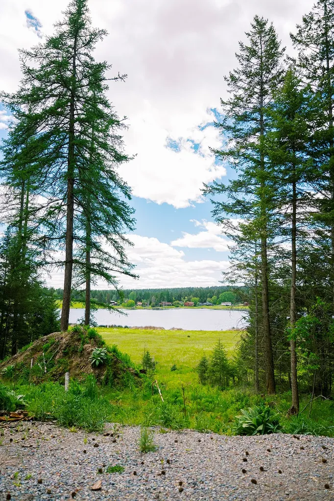 56 Wagon Wheel Road Whitefish MT 59937