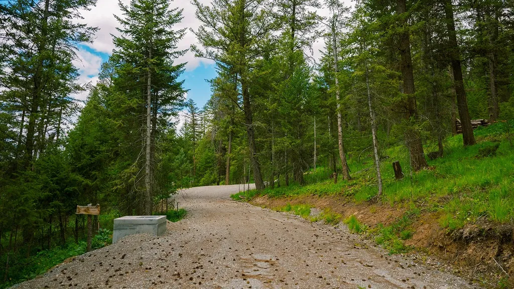 56 Wagon Wheel Road Whitefish MT 59937
