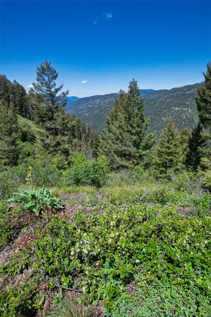 25575 Patter Spur Road Clinton MT 59825