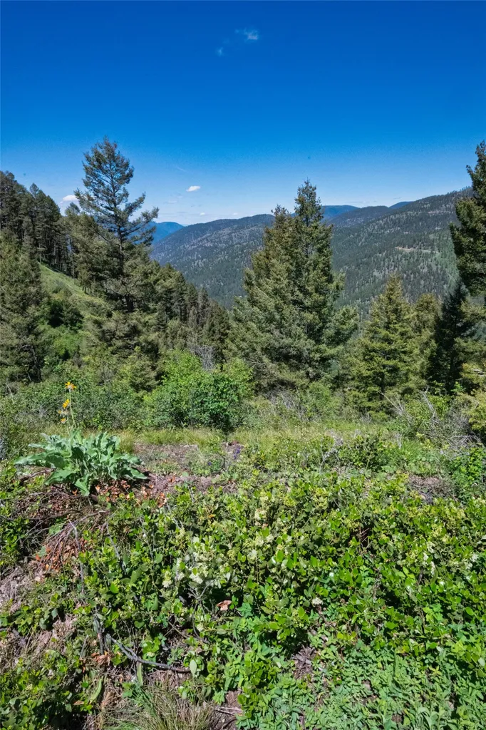 25575 Patter Spur Road Clinton MT 59825