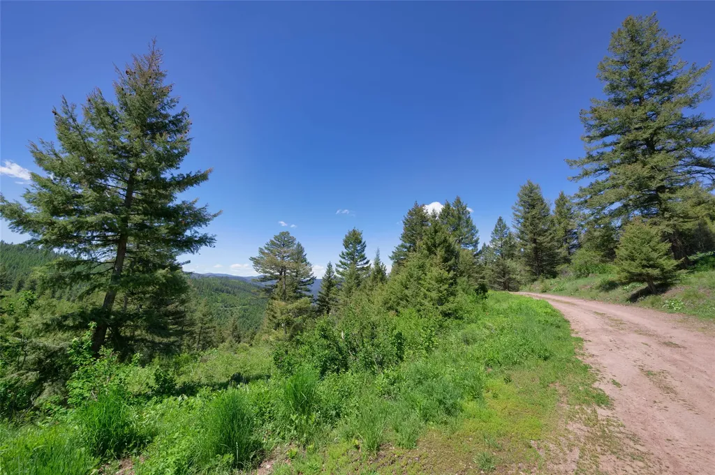 25575 Patter Spur Road Clinton MT 59825