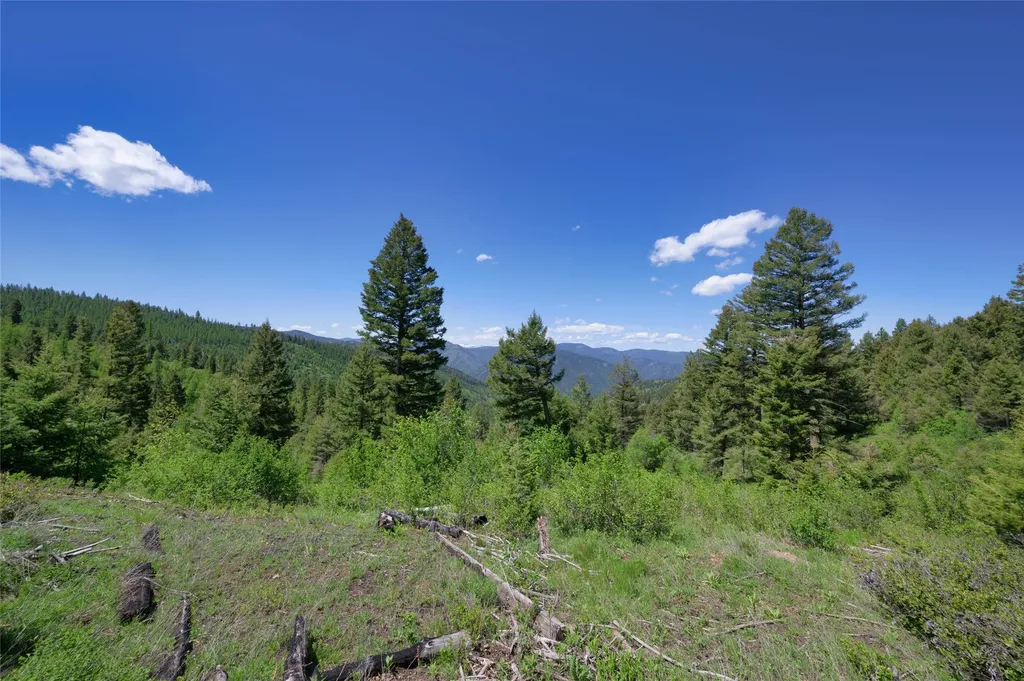 25575 Patter Spur Road Clinton MT 59825