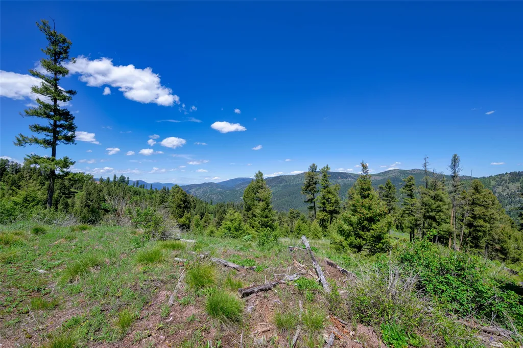 25575 Patter Spur Road Clinton MT 59825