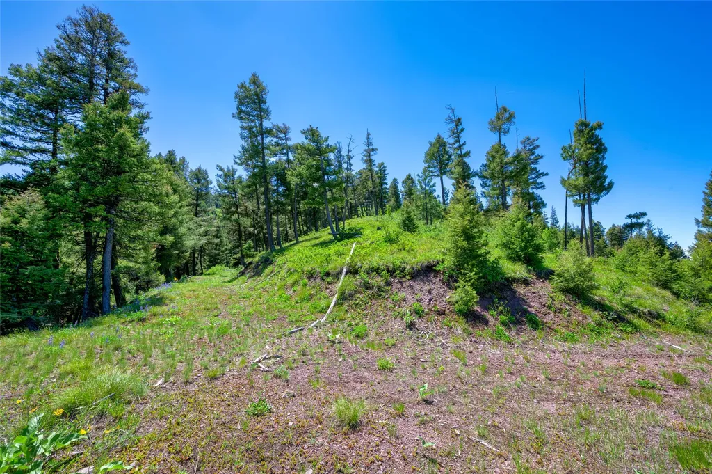 25575 Patter Spur Road Clinton MT 59825
