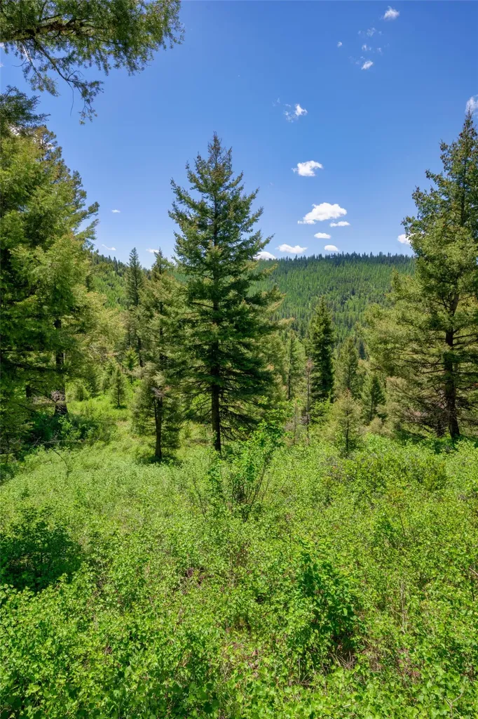 25575 Patter Spur Road Clinton MT 59825