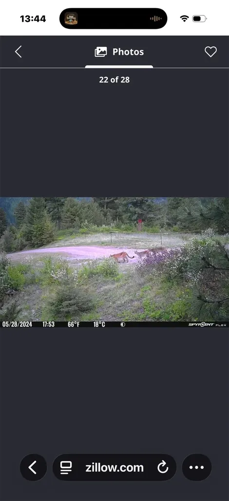 25575 Patter Spur Road Clinton MT 59825
