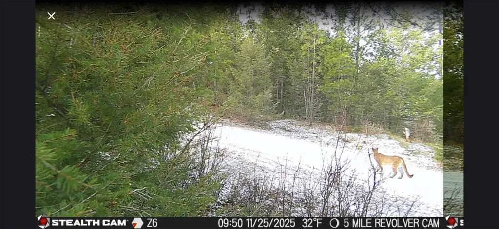 25575 Patter Spur Road Clinton MT 59825