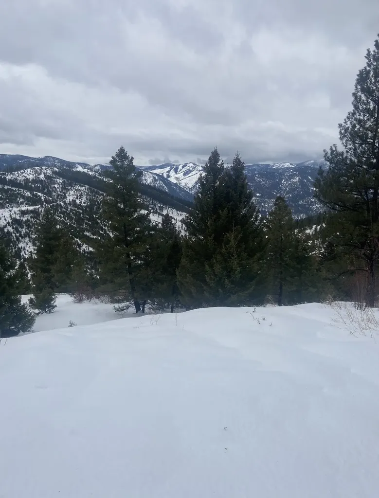 25575 Patter Spur Road Clinton MT 59825